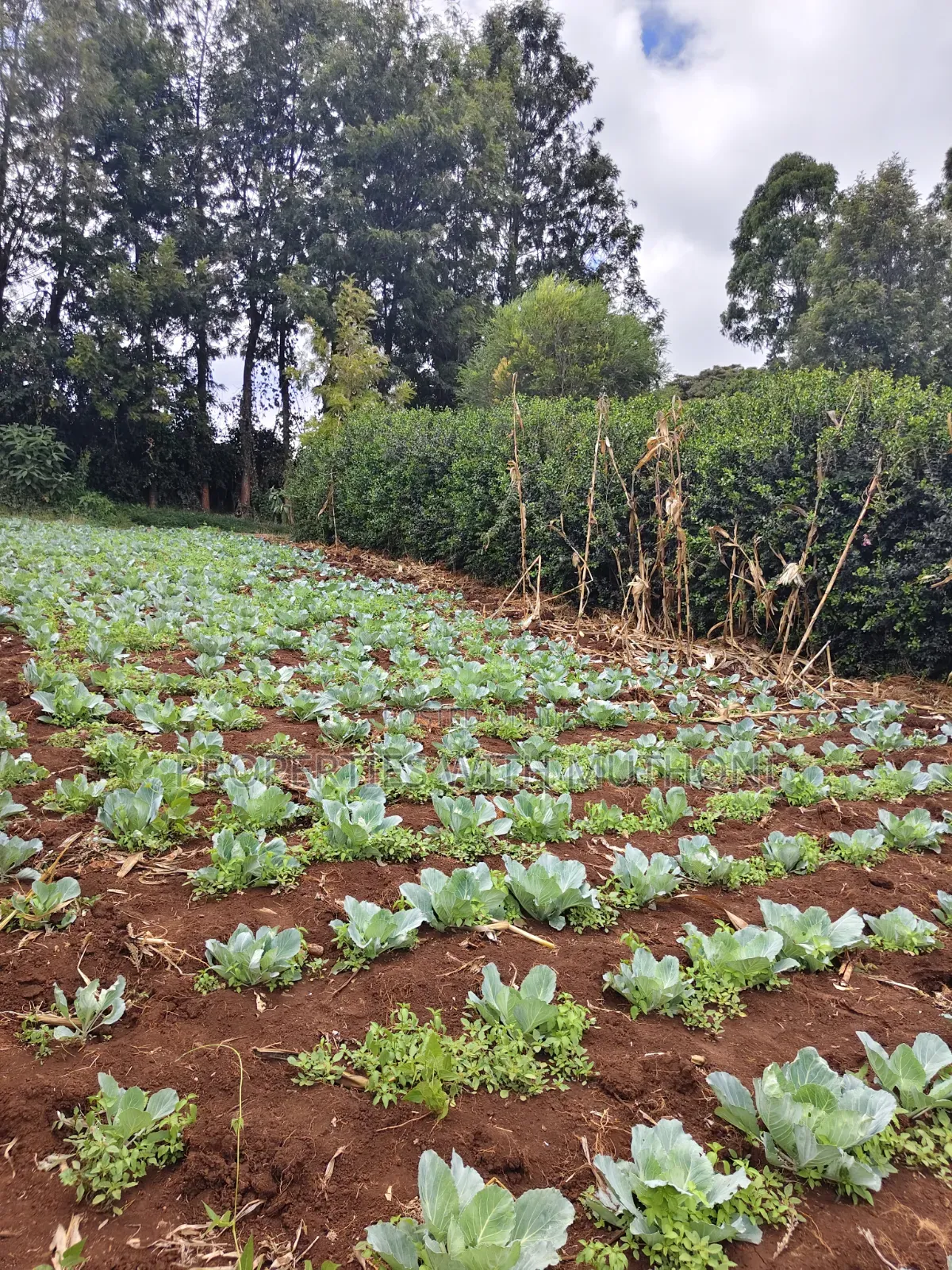 1 Acre of Land for Sale in Kahara, Ngong. in Kangai