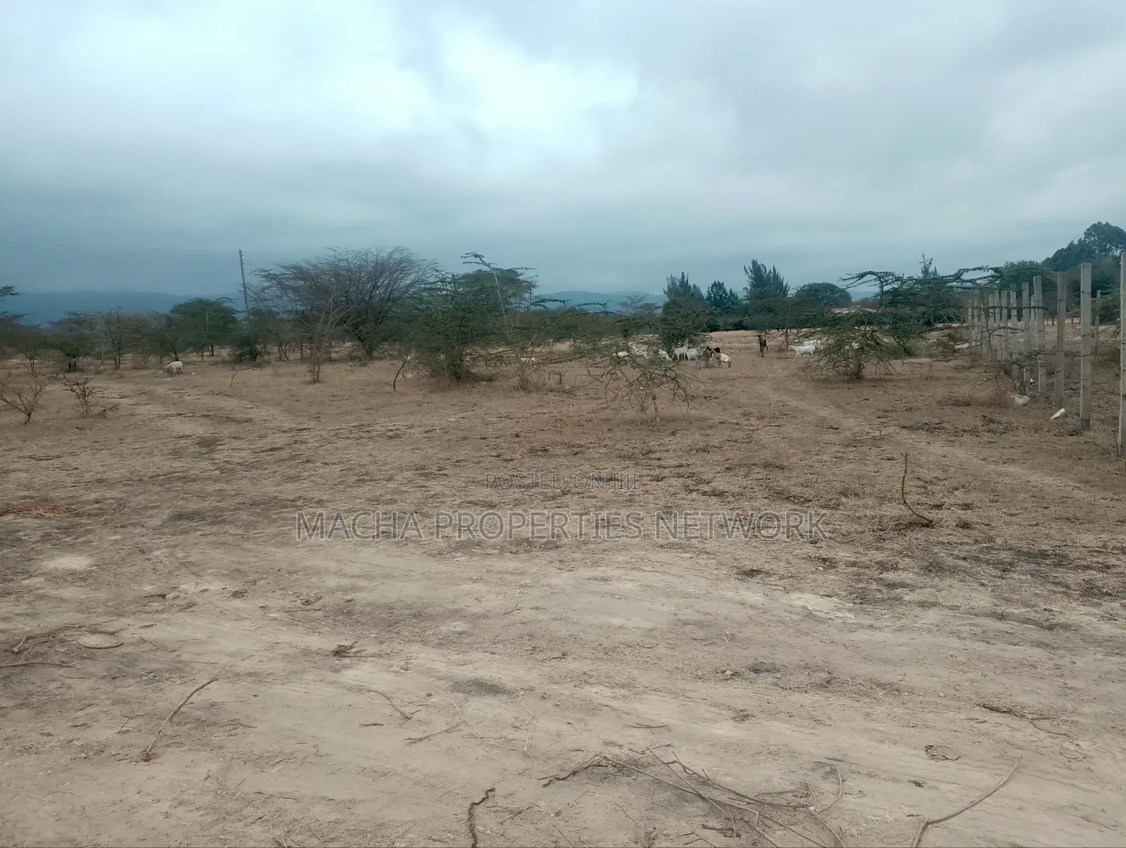 10 Plots Each Sized 50by Ft Machakos Kenya Israel in Mumbuni