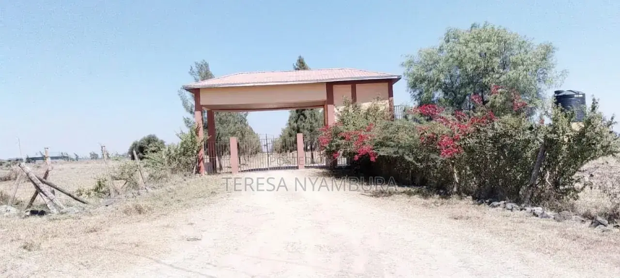 50/100 Residential Plot on Sale in Mbirikani