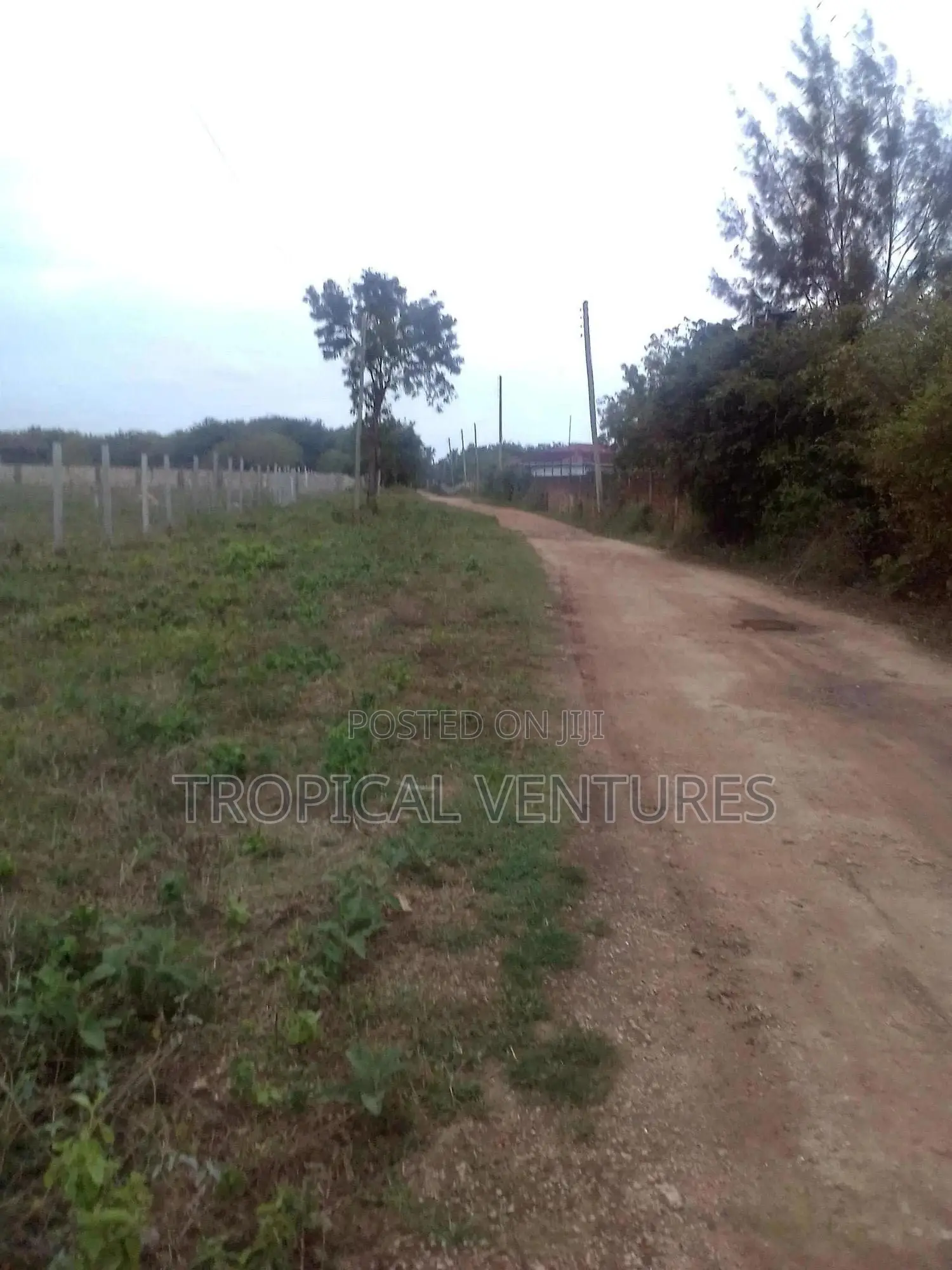Beach Plots for Sale in Diani