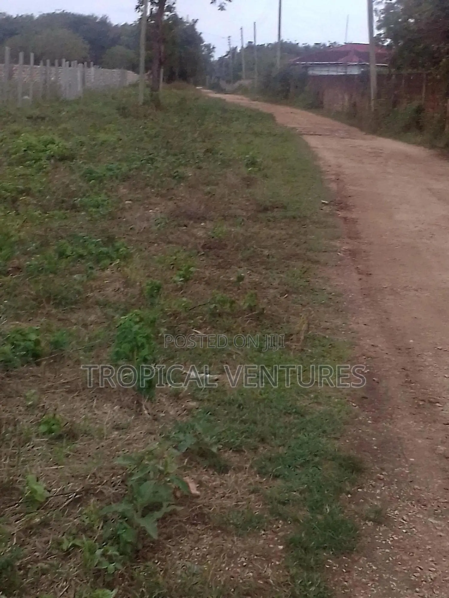 Beach Plots for Sale in Diani