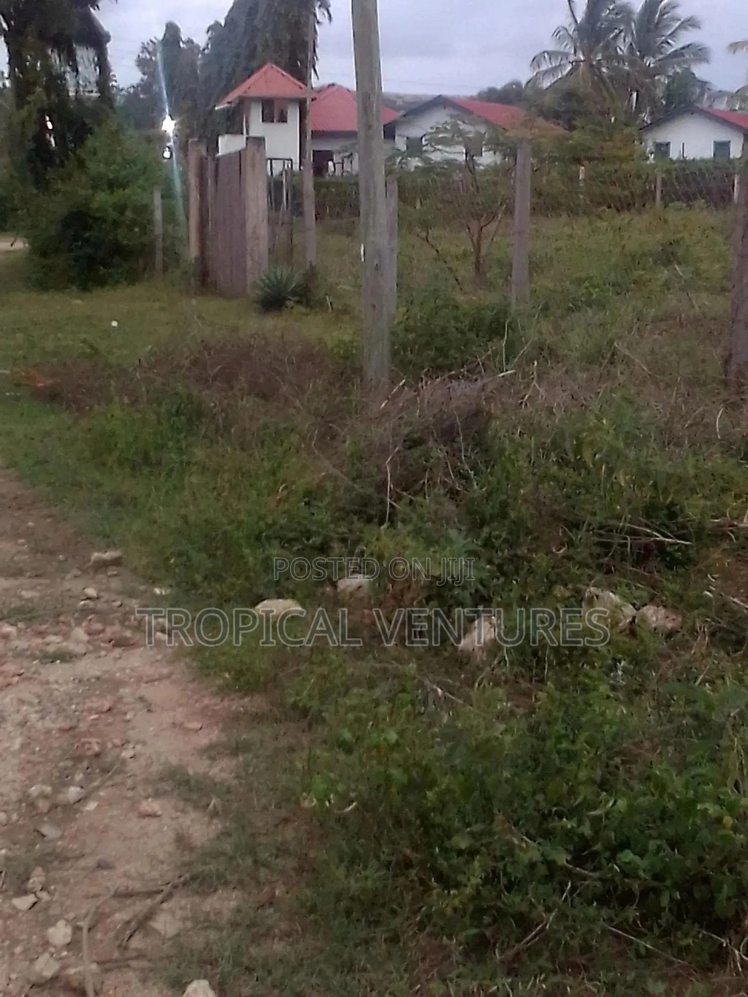 Beach Plots for Sale in Diani