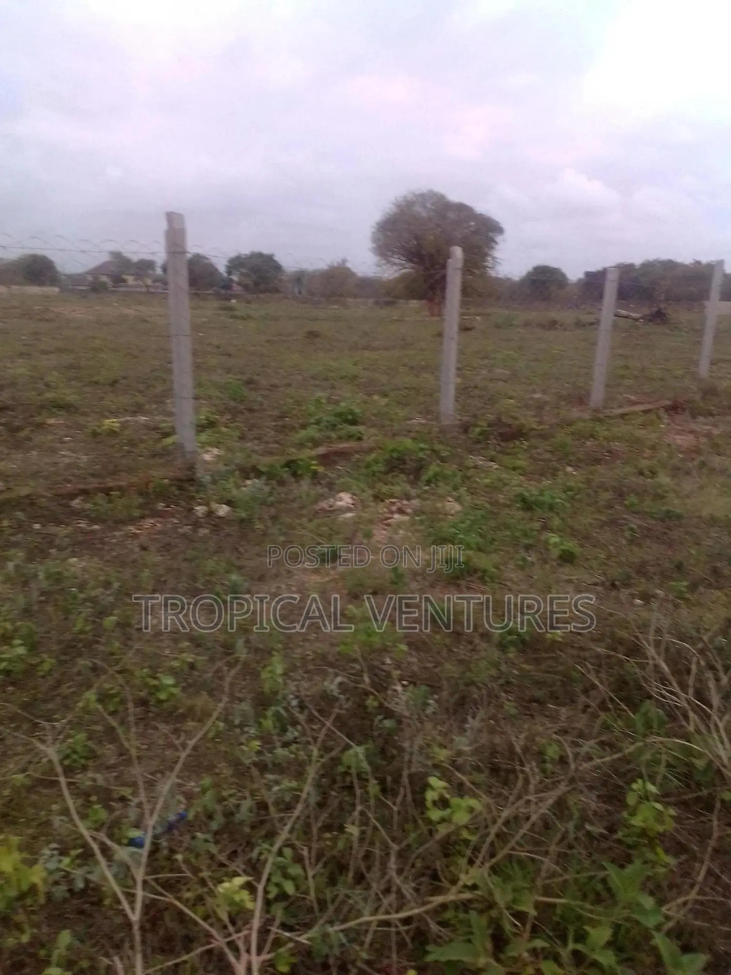 Beach Plots for Sale in Diani