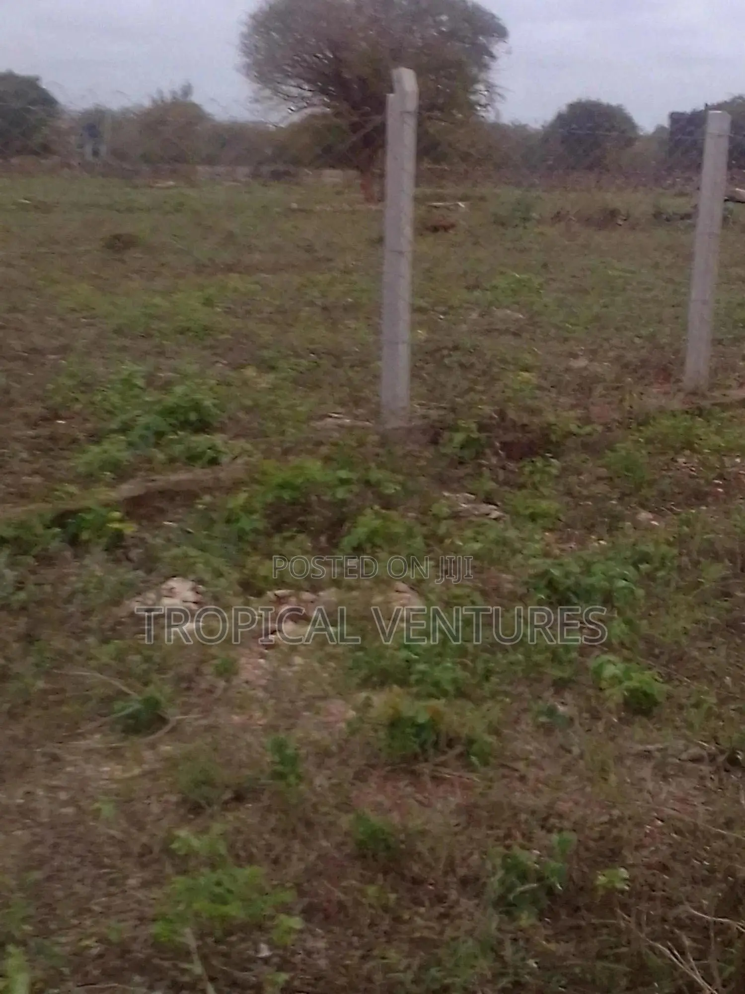Beach Plots for Sale in Diani