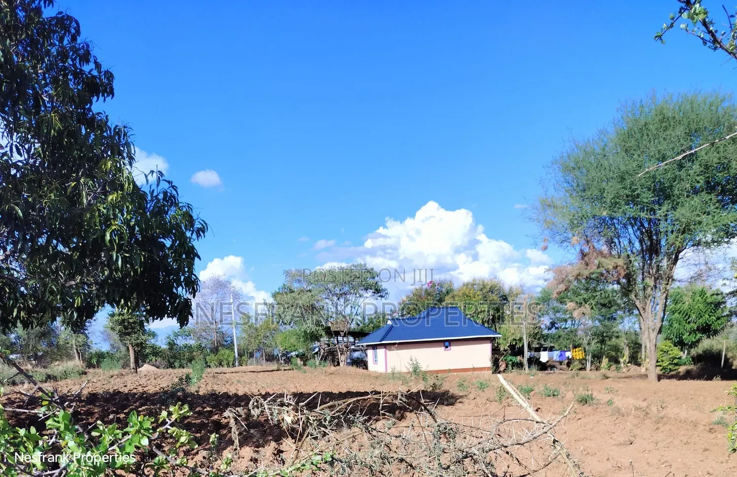 Plots for Sale in Matuu Kaewa Masinga Size 50*100 in Matuu