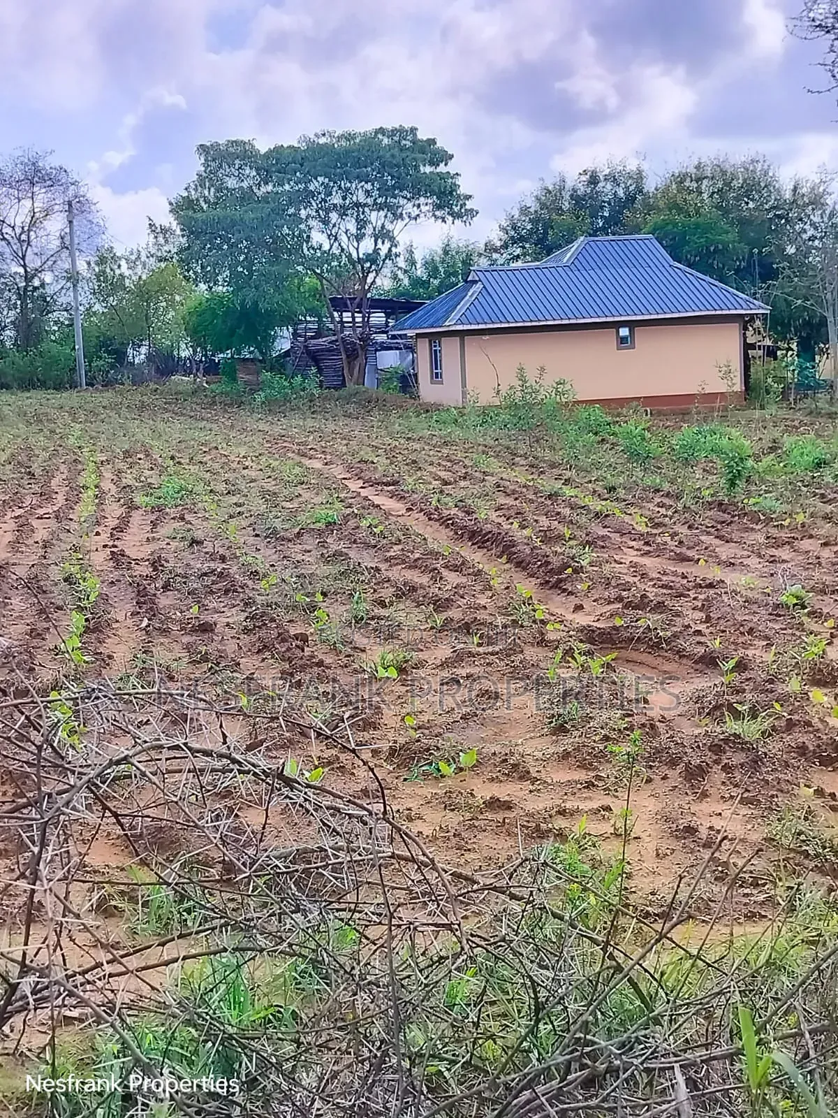 Plots for Sale in Matuu Kaewa Masinga Size 50*100 in Matuu