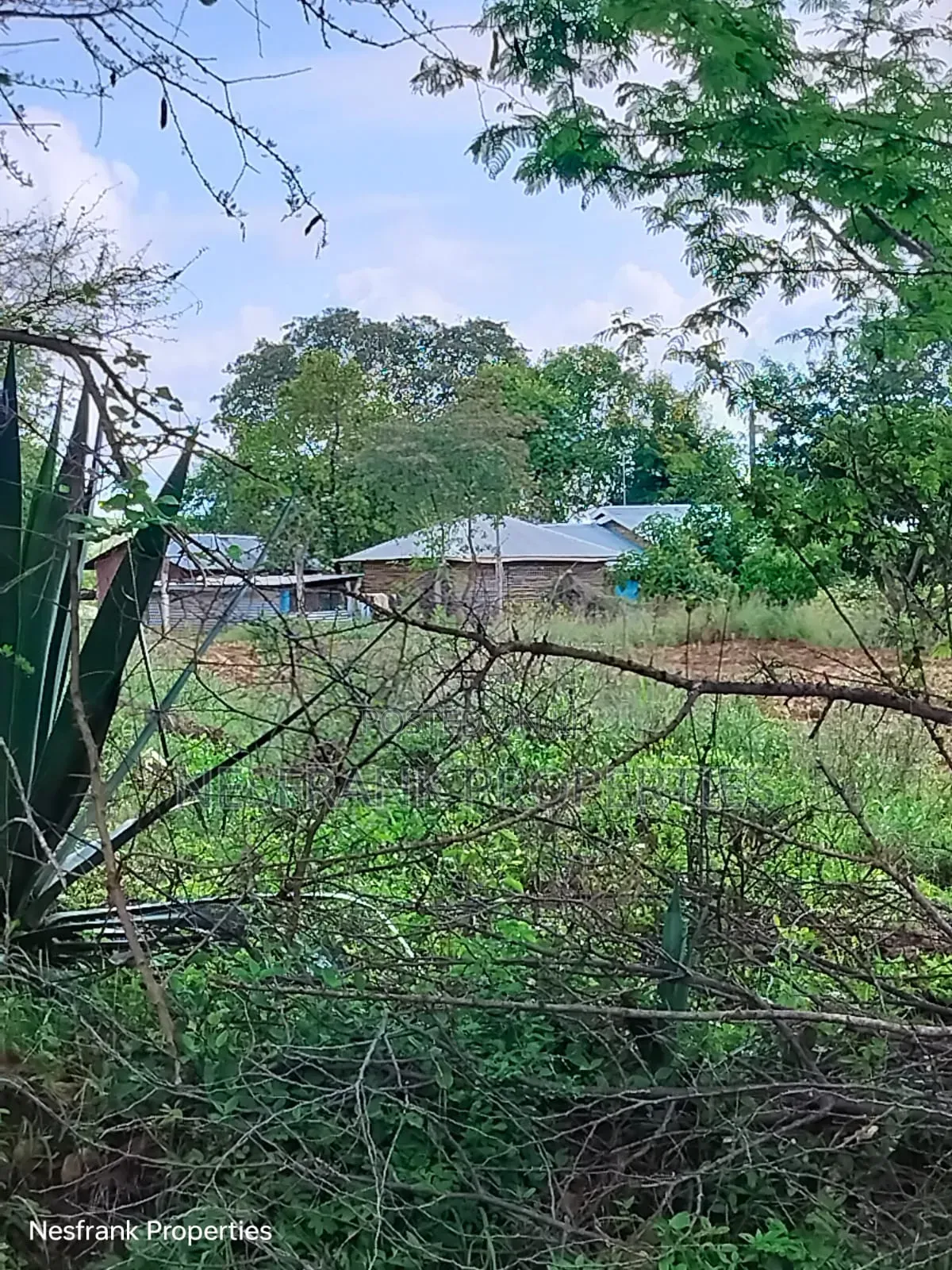 Plots for Sale in Matuu Kaewa Masinga Size 50*100 in Matuu