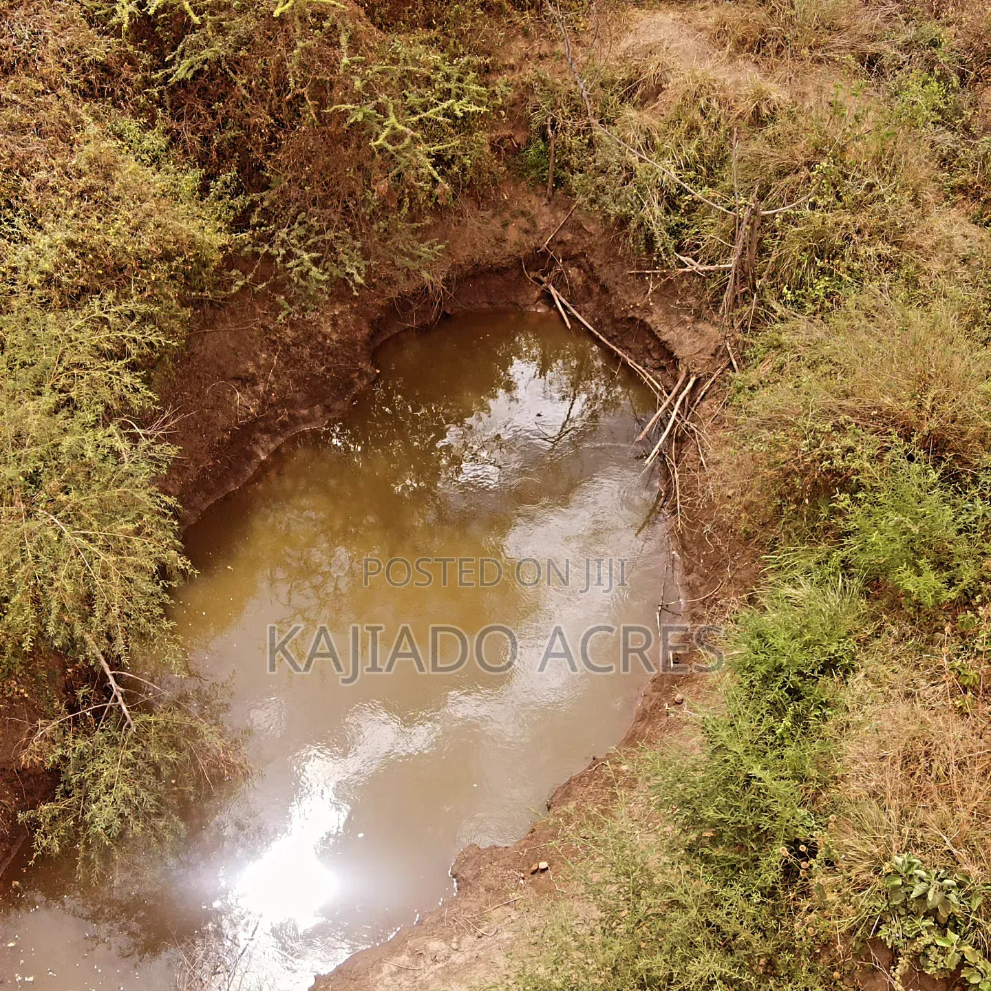 Emergency Quick Sale 156 Acres Nkooito in Mata