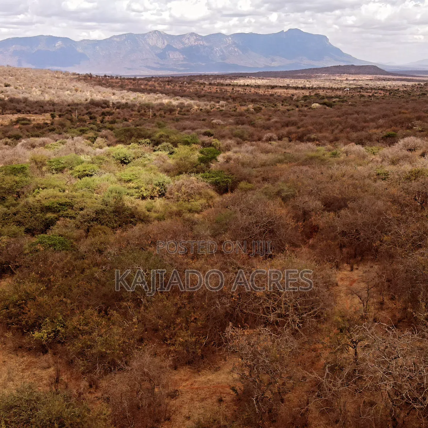 Emergency Quick Sale 156 Acres Nkooito in Mata