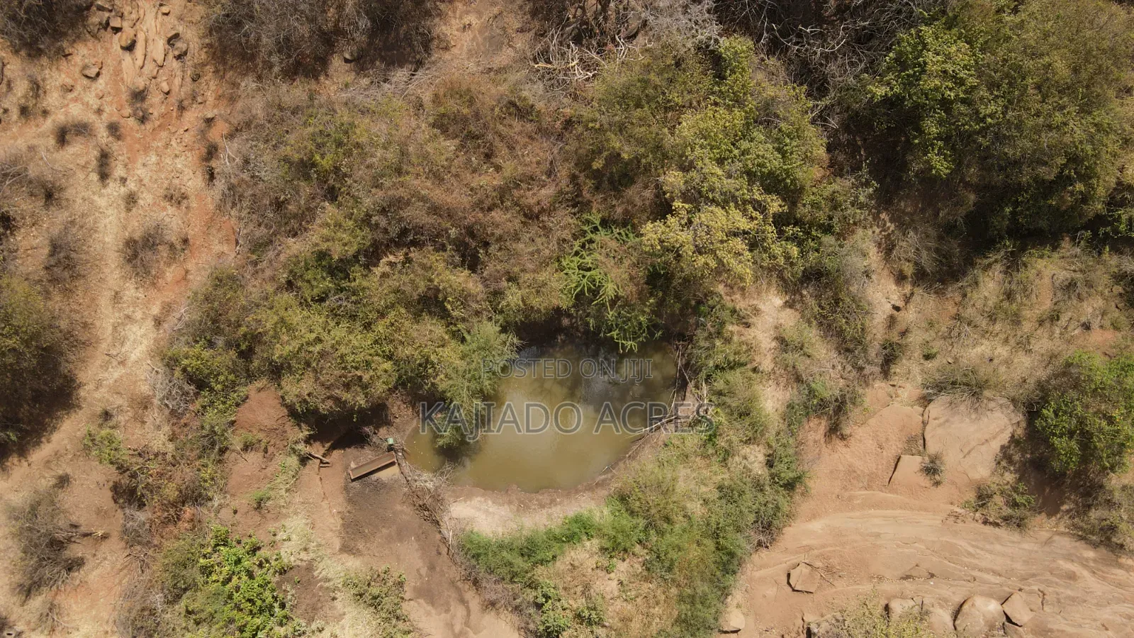 Emergency Quick Sale 156 Acres Nkooito in Mata
