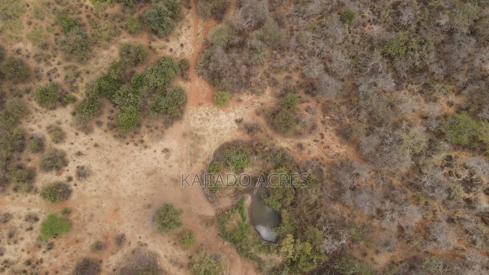 Emergency Quick Sale 156 Acres Nkooito in Mata