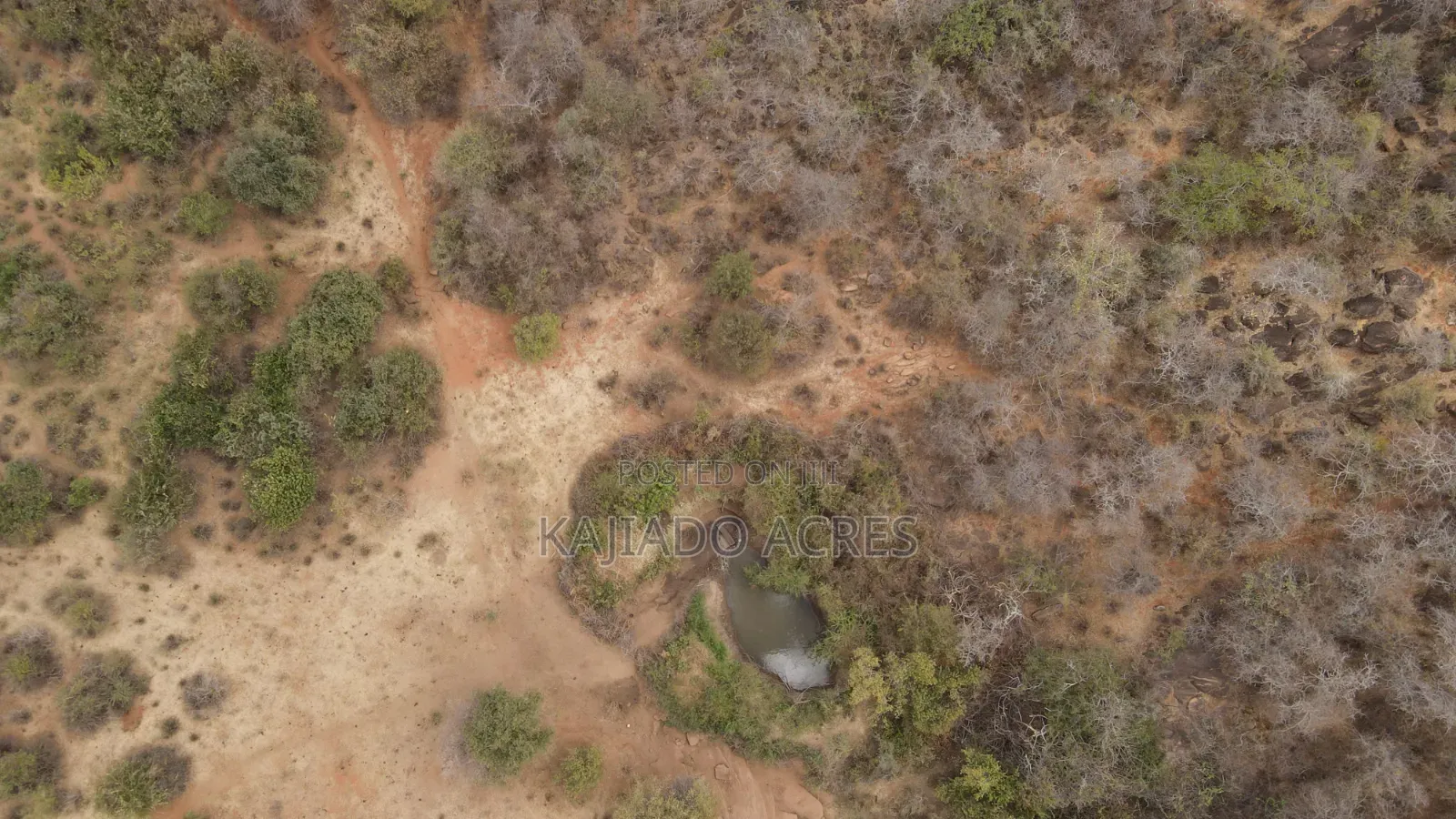 Emergency Quick Sale 156 Acres Nkooito in Mata