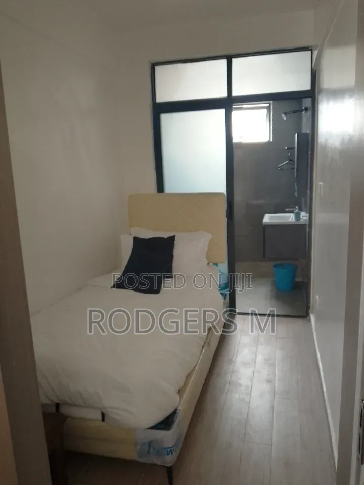 Furnished Studio Apartment in Riverside Drive for rent in Riverside Drive