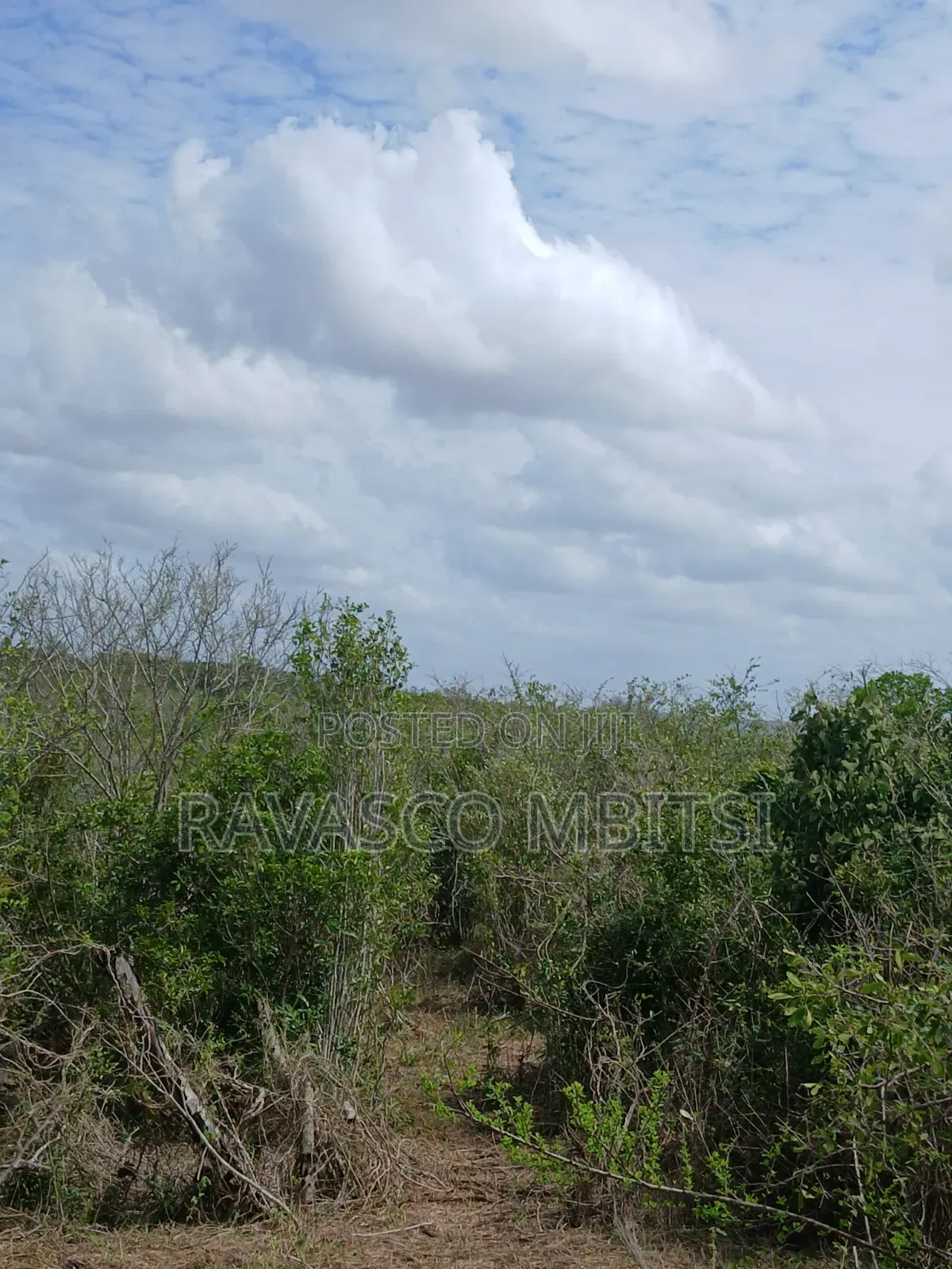 90 Acres Forsale in Malindi Fundisa in Town Centre