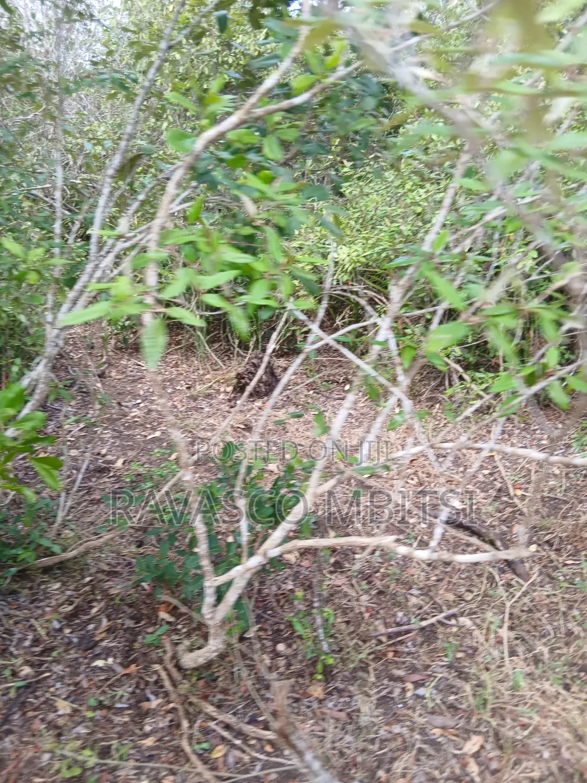 19 Acres Forsale in Malindi Boreshingwaya in Marafa