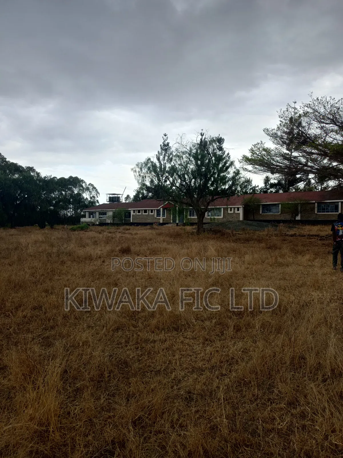 A School to Let in Kamulu in Malaa