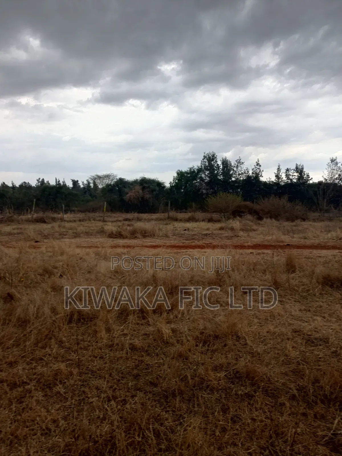 A School to Let in Kamulu in Malaa