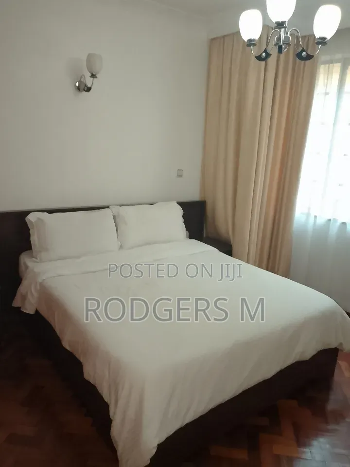 Furnished 1bdrm Apartment in Raphta Road Area for rent in Raphta Road Area