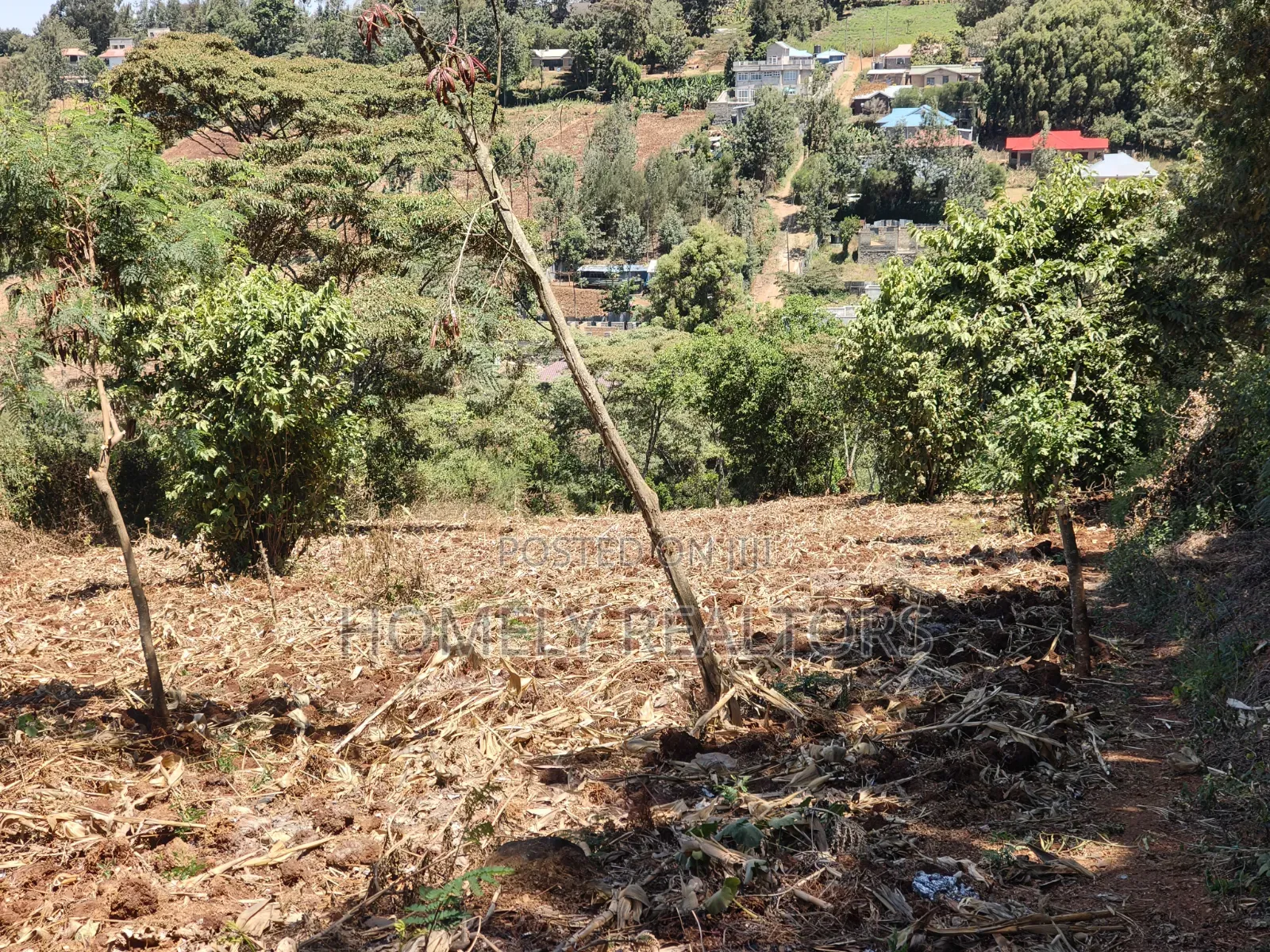 One Acre Piece of Land for Sale in Ngong, Olkeri. Fertile Red Soil in Ol Keri