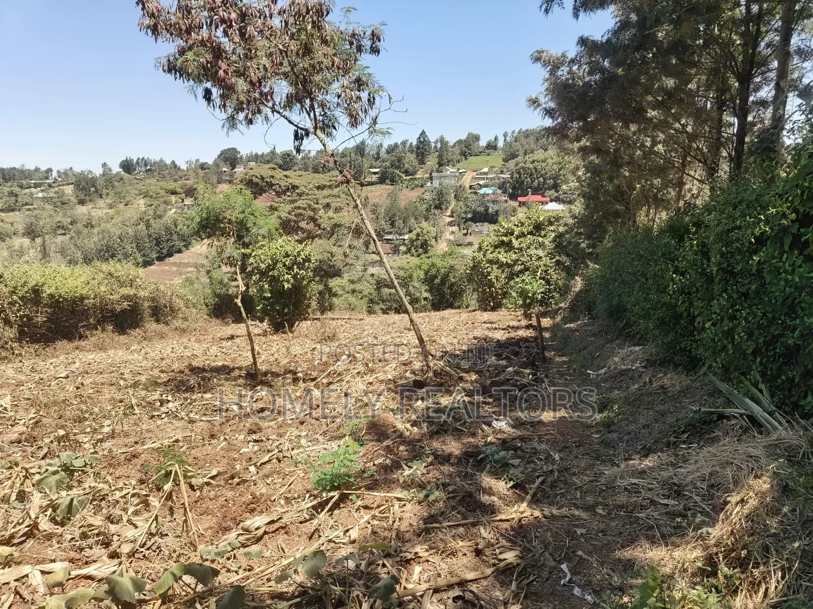 One Acre Piece of Land for Sale in Ngong, Olkeri. Fertile Red Soil in Ol Keri