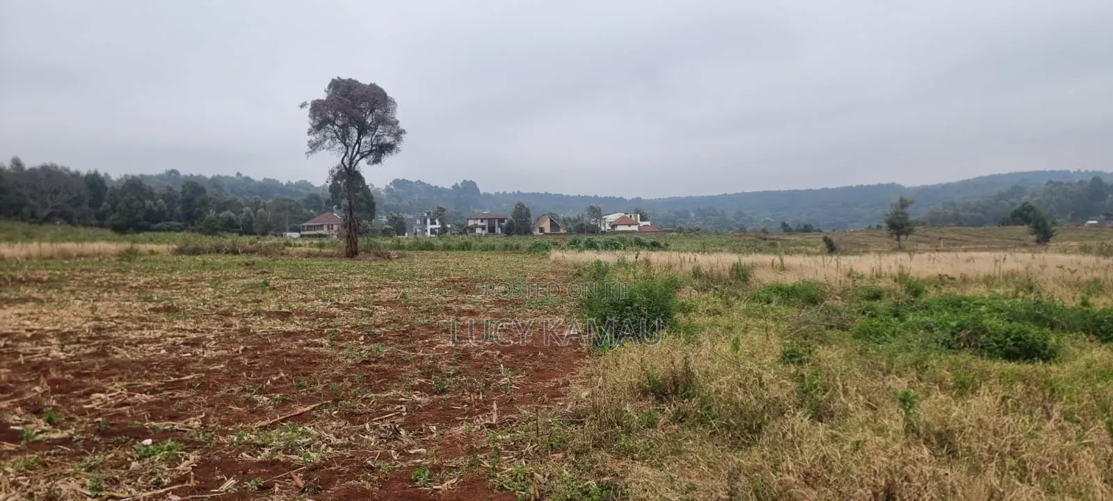 Prime 8 Acres for Sale in Kerarapon in Kerarapon