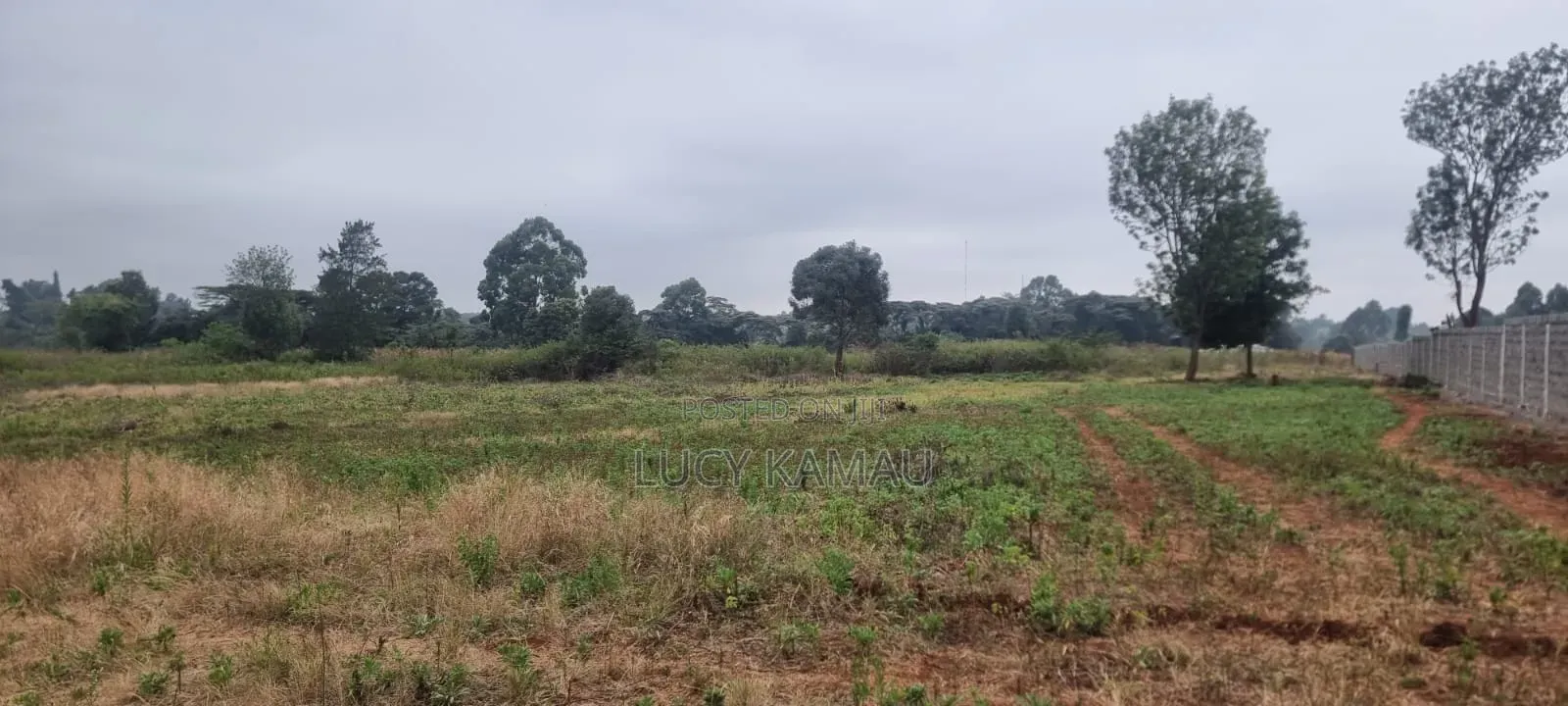 Prime 8 Acres for Sale in Kerarapon in Kerarapon