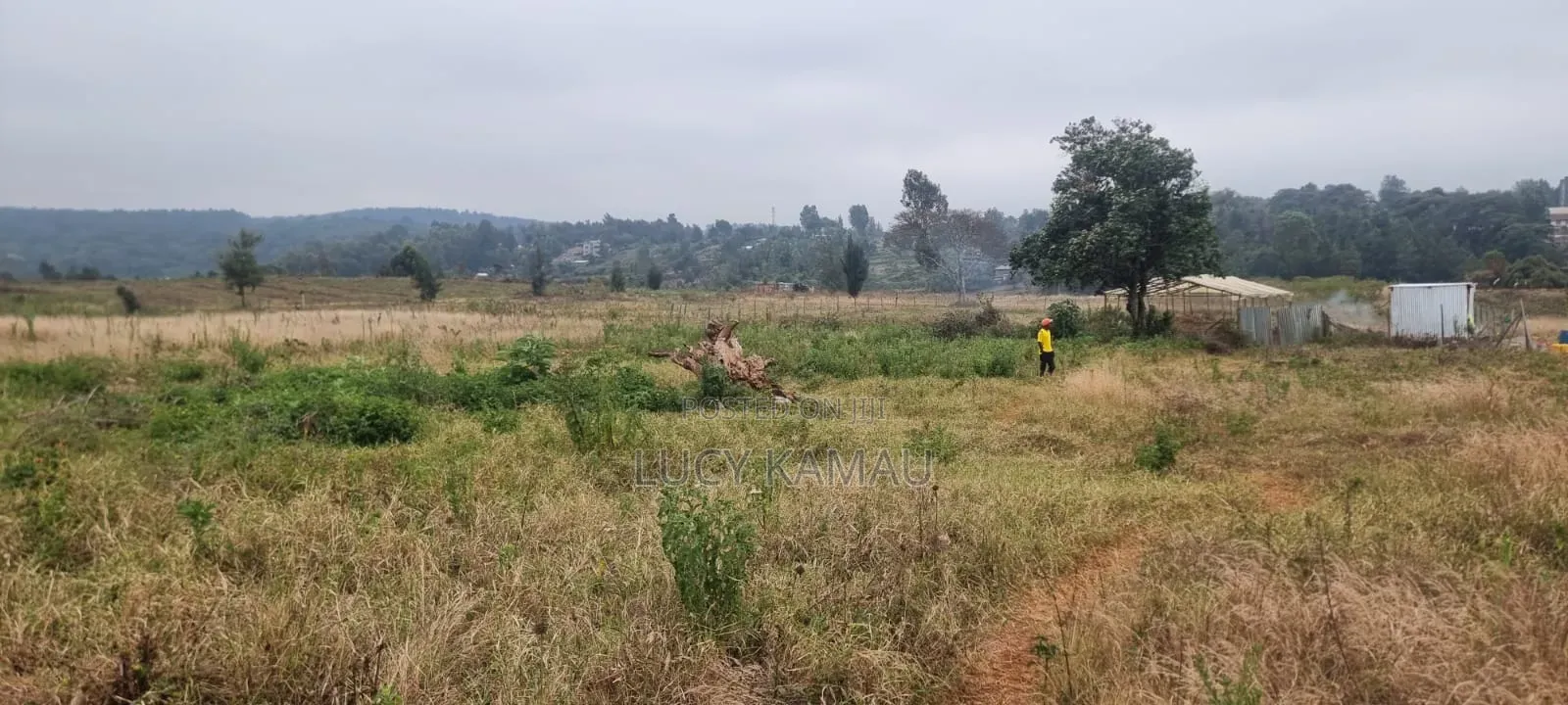 Prime 8 Acres for Sale in Kerarapon in Kerarapon