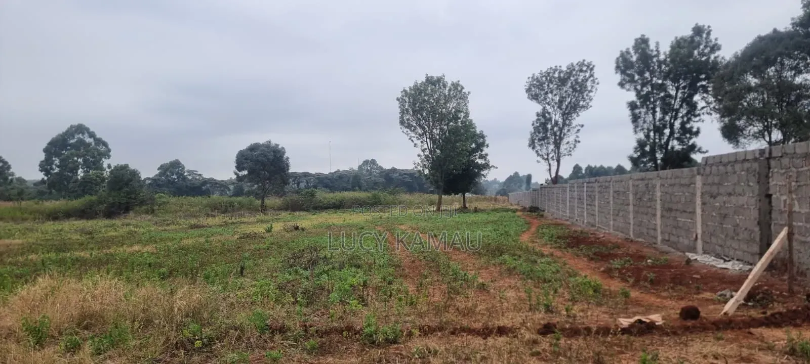 Prime 8 Acres for Sale in Kerarapon in Kerarapon
