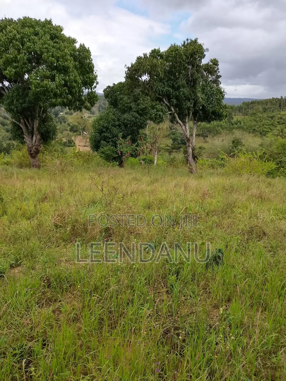 12 Acre of Farm Land for Sale in Mkongani