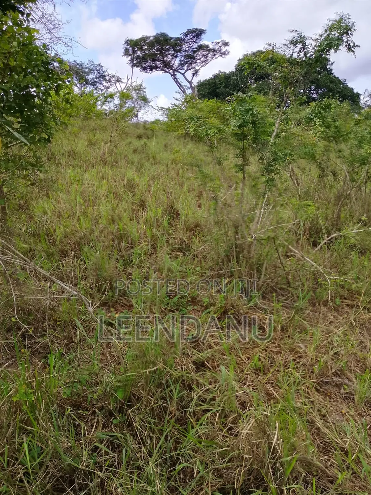 12 Acre of Farm Land for Sale in Mkongani