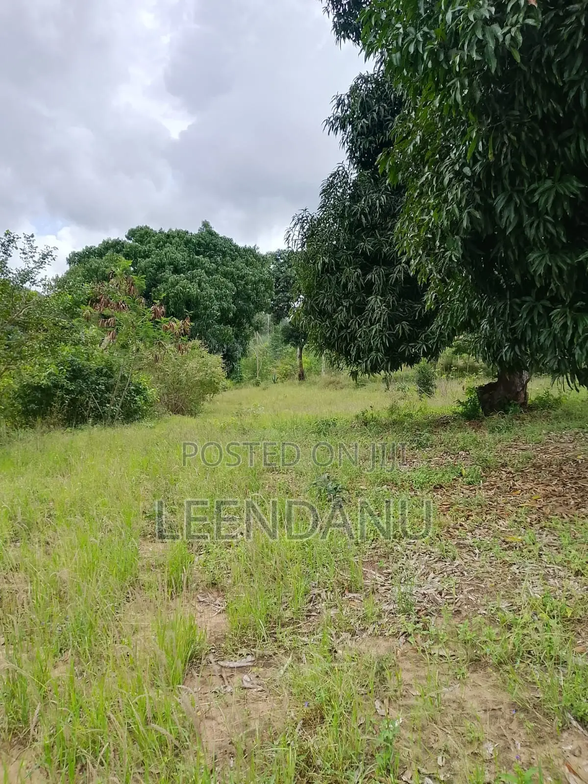 12 Acre of Farm Land for Sale in Mkongani