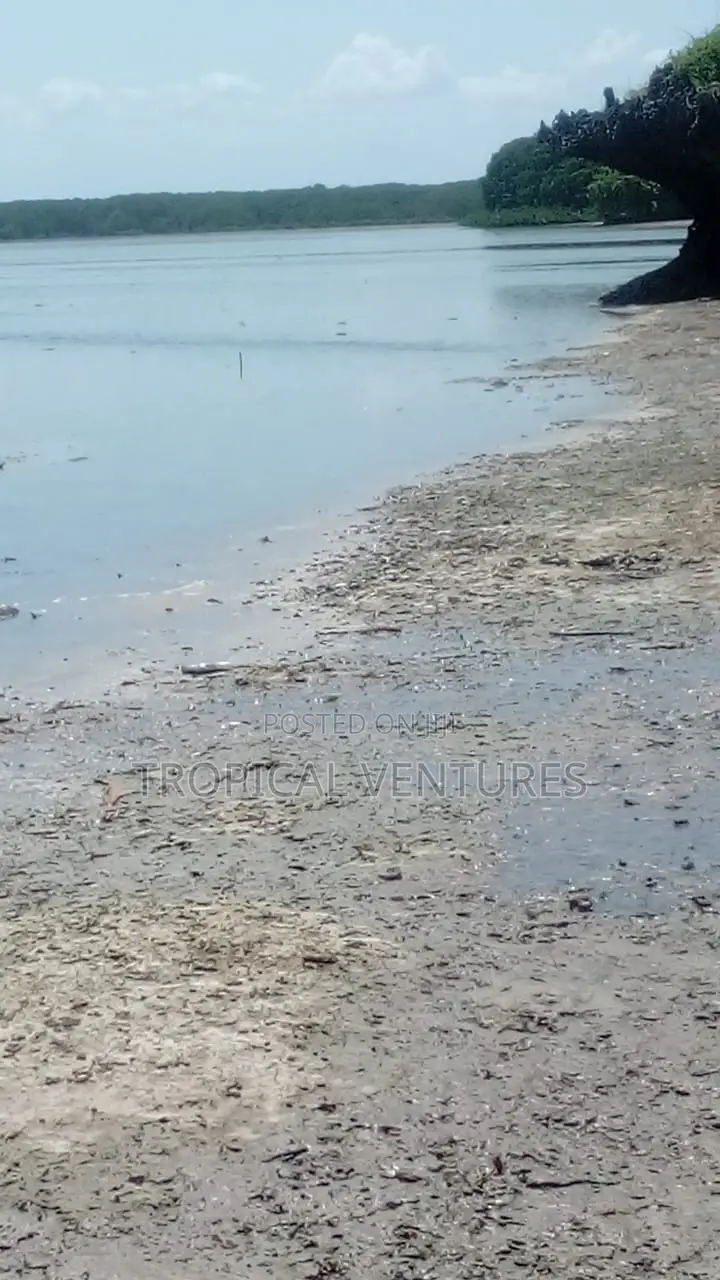 Beach Property for Sale. in Pongwe/Kikoneni