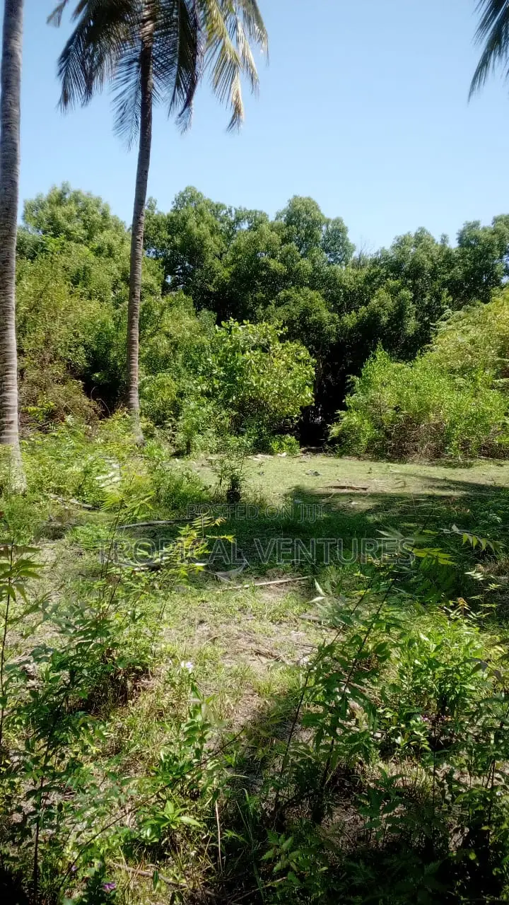 Beach Property for Sale. in Pongwe/Kikoneni