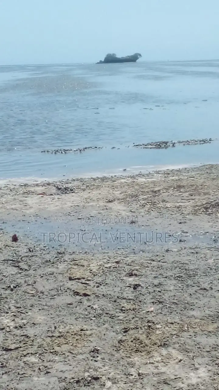Beach Property for Sale. in Pongwe/Kikoneni