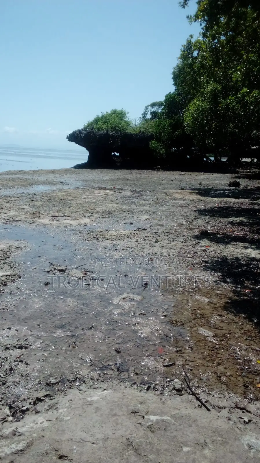 Beach Property for Sale. in Pongwe/Kikoneni