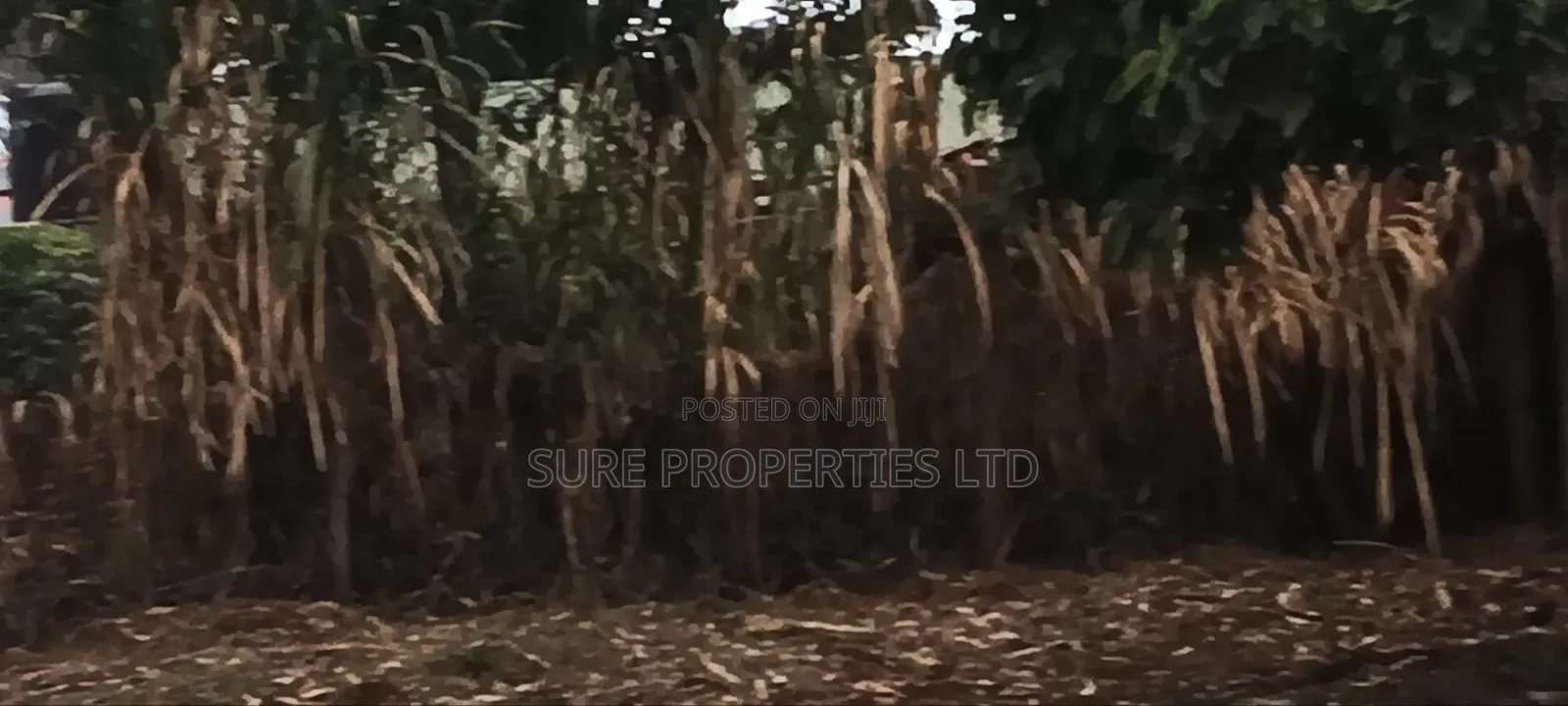 100x100 Prime Plot in Thamanda in Muthiga