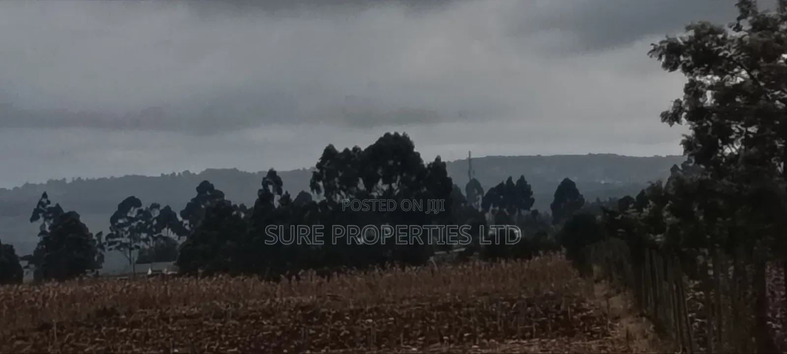 100x100 Prime Plot in Thamanda in Muthiga