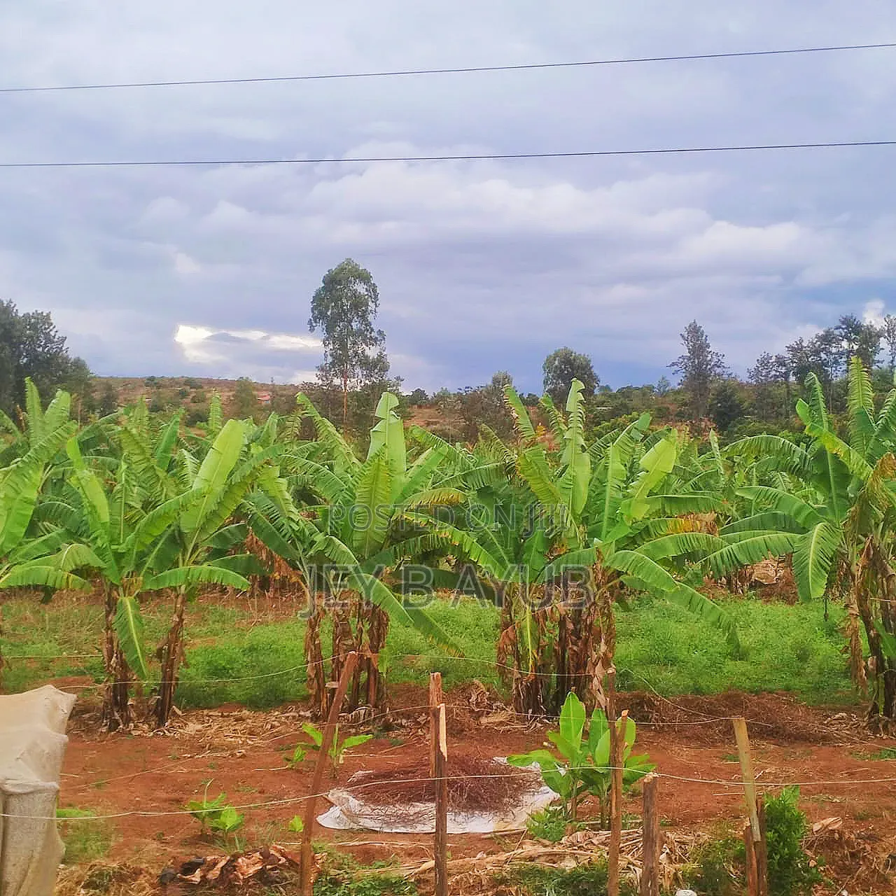 3 Prime Acres Along Nairobi Nyeri Road in Kambiti
