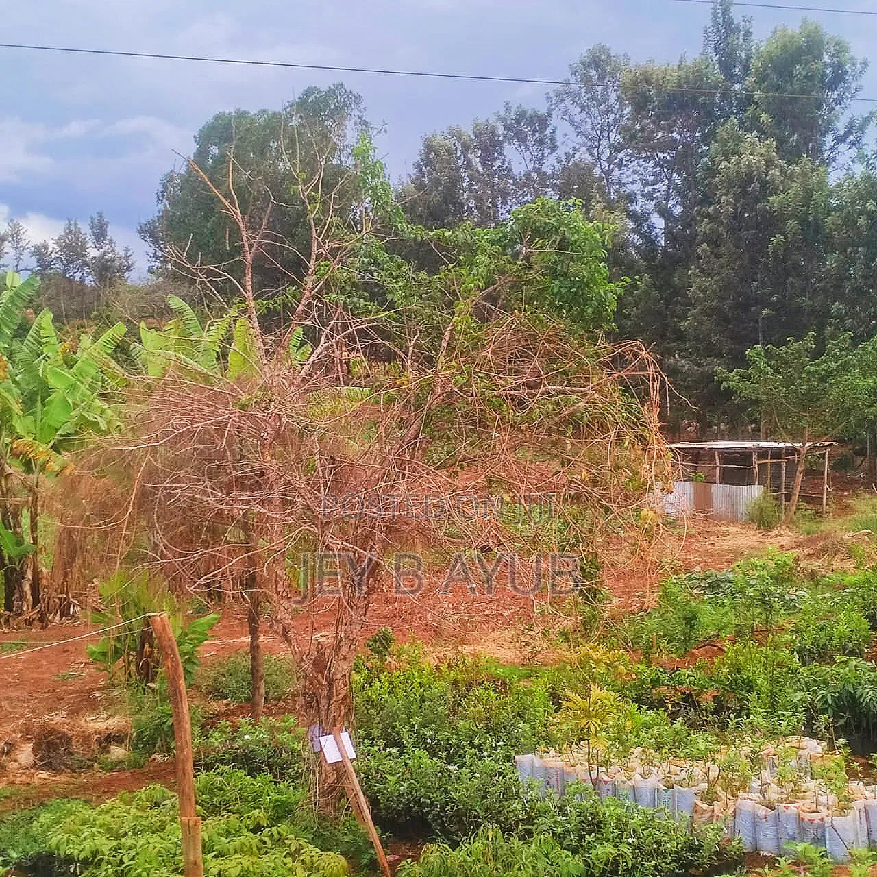 3 Prime Acres Along Nairobi Nyeri Road in Kambiti