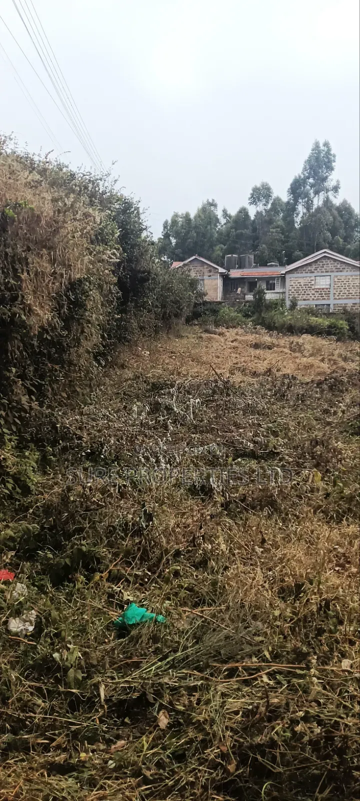 Tilisi 4 Acres Touching Tarmac in Muthiga