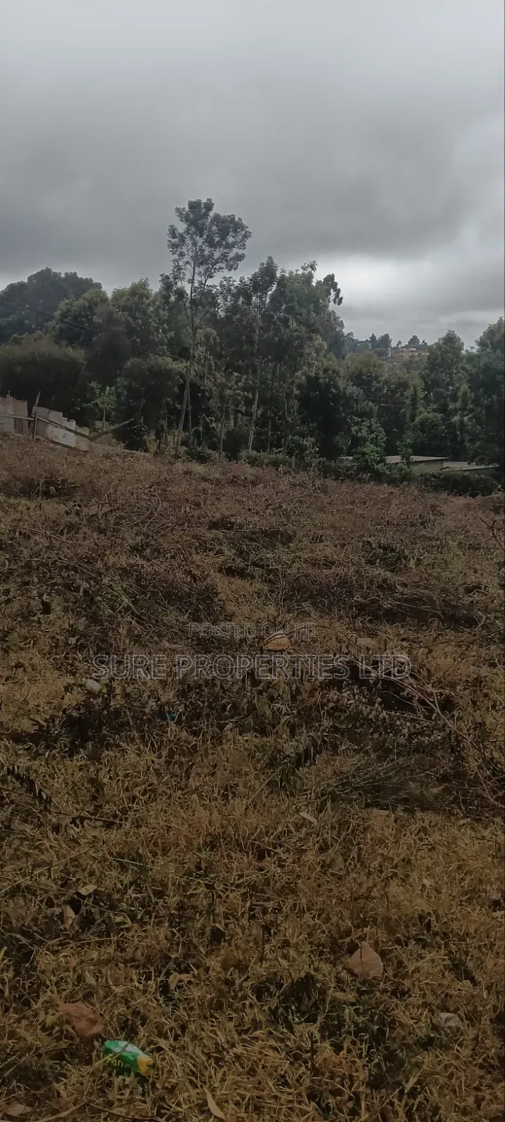 Tilisi 4 Acres Touching Tarmac in Muthiga