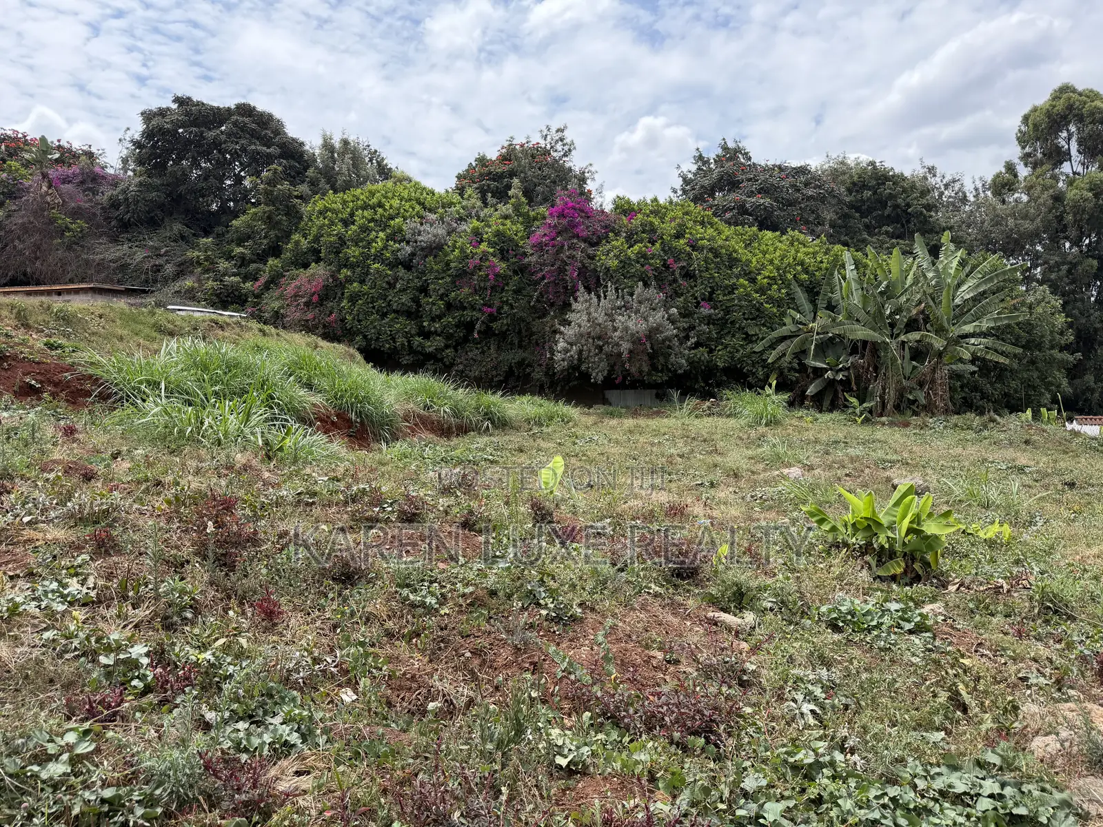Karen 1acre for Sale Treelane 100M in Karen
