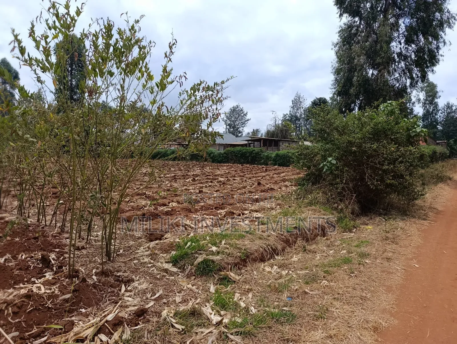 Quarter an Acre Plot on Sale at Githingiri in Thika CBD