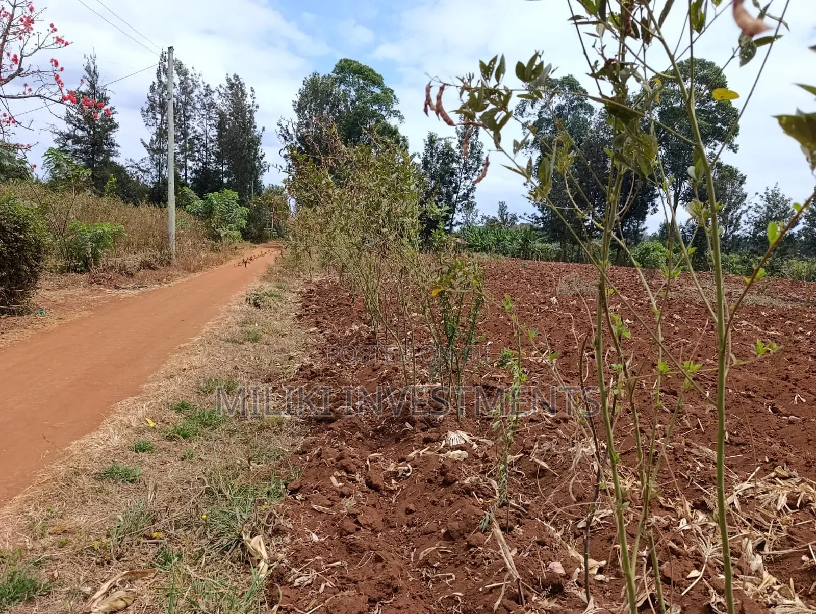 Quarter an Acre Plot on Sale at Githingiri in Thika CBD