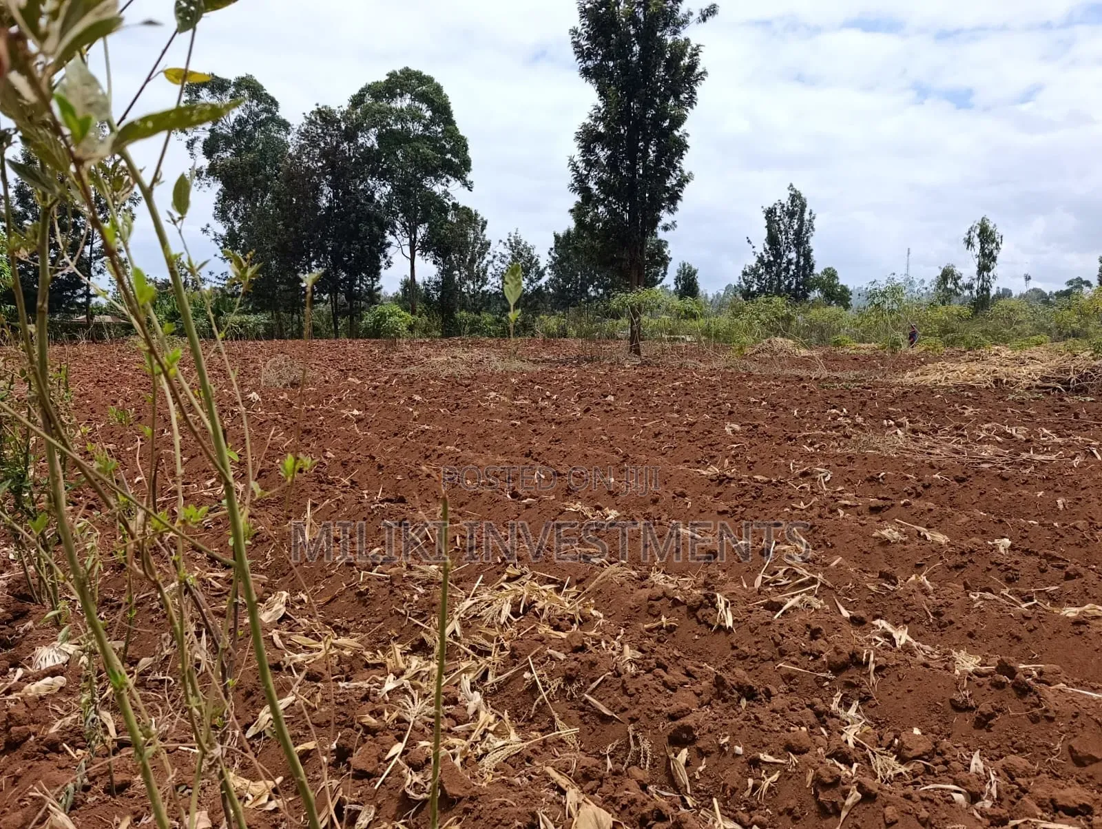 Quarter an Acre Plot on Sale at Githingiri in Thika CBD