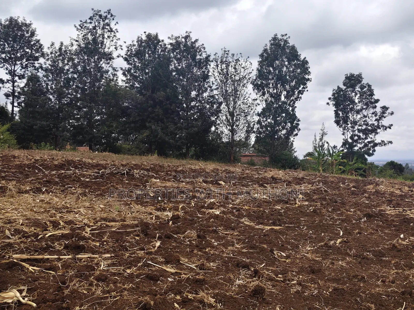 1 and 1/2 Acres for Sale in Olkeri for Sale. in Ol Keri