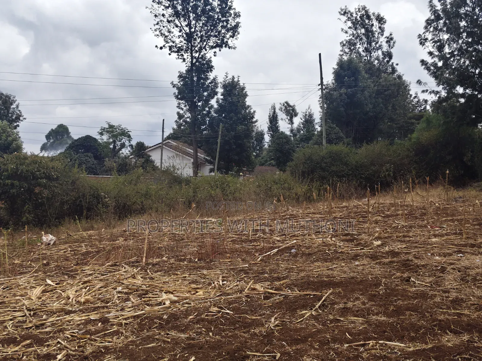 1 and 1/2 Acres for Sale in Olkeri for Sale. in Ol Keri