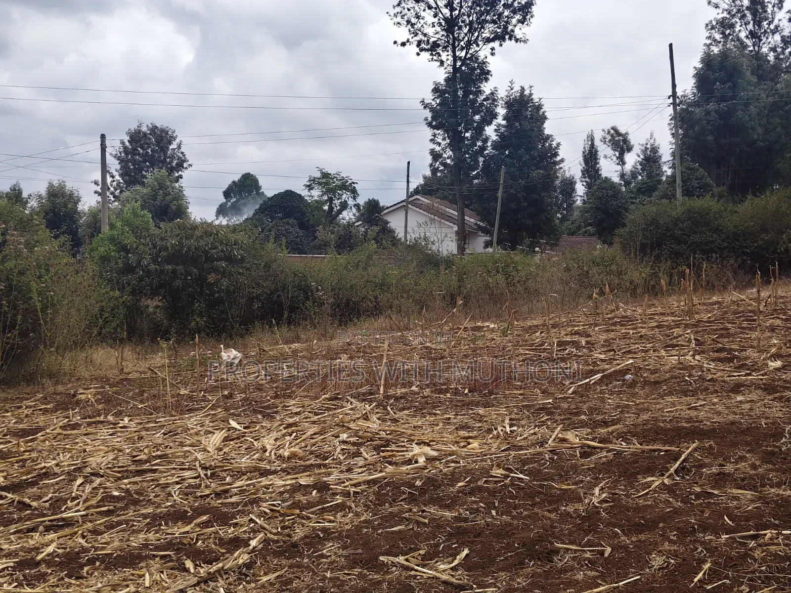 1 and 1/2 Acres for Sale in Olkeri for Sale. in Ol Keri