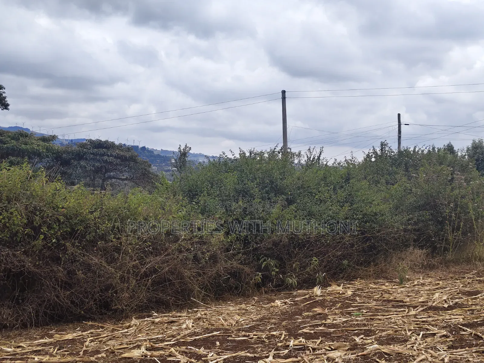 1 and 1/2 Acres for Sale in Olkeri for Sale. in Ol Keri