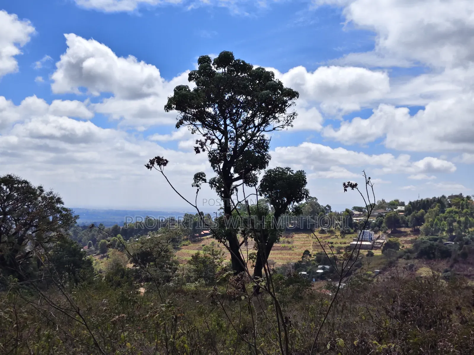 1 Acre for Sale in Lemiso Road, Ngong. in Kibiku